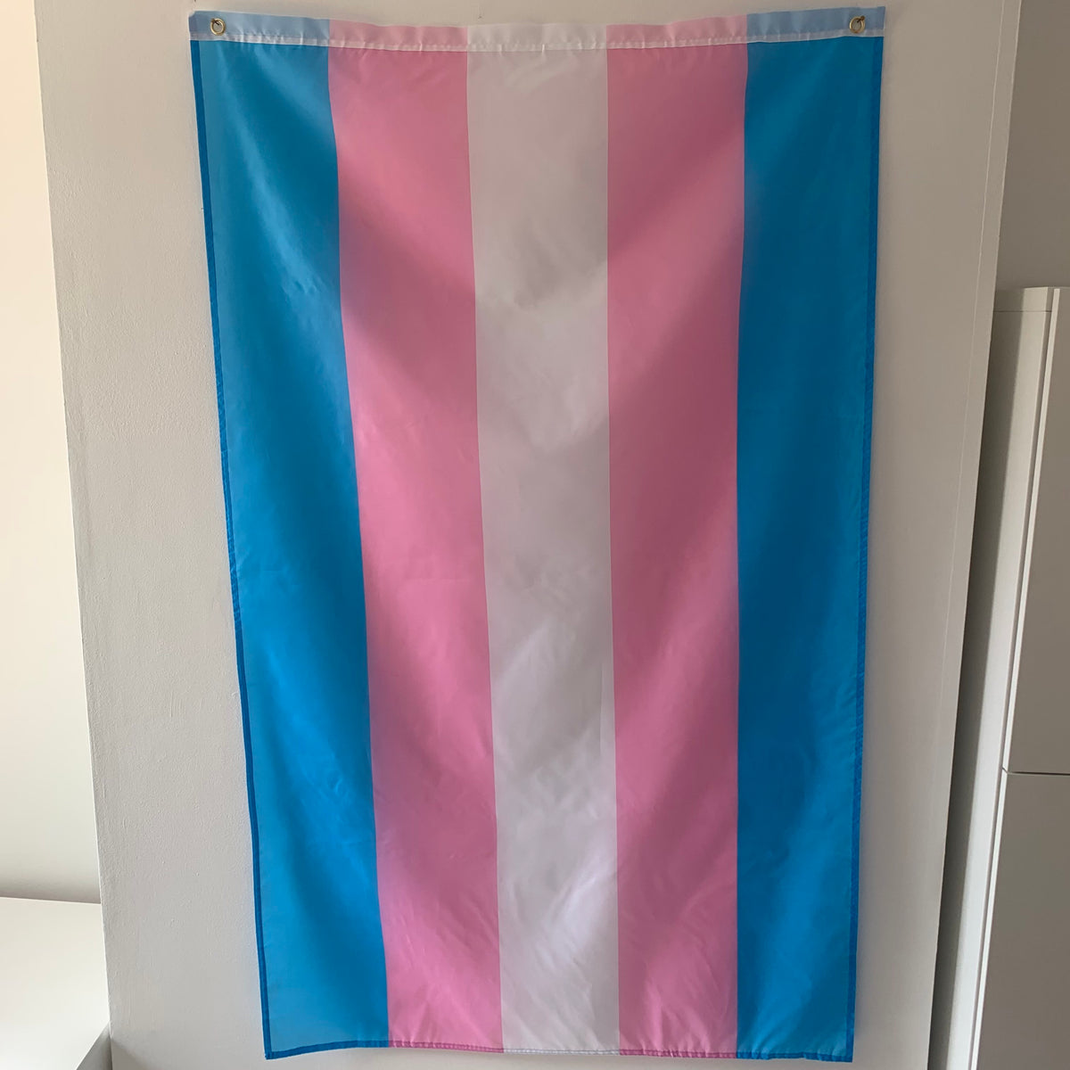 Trans Pride Flag – The Bookish Type