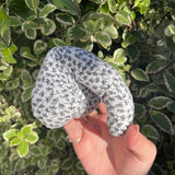 Fabou Packer